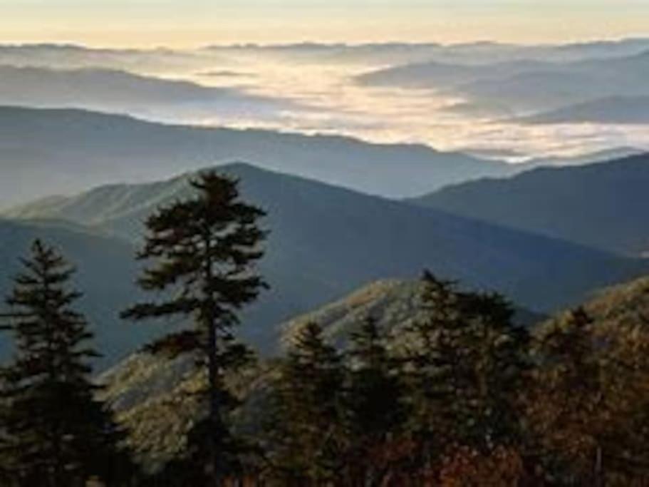 1 Mi To Dollywood Mins To All Attractions & Gsmnp 塞维尔维尔 外观 照片