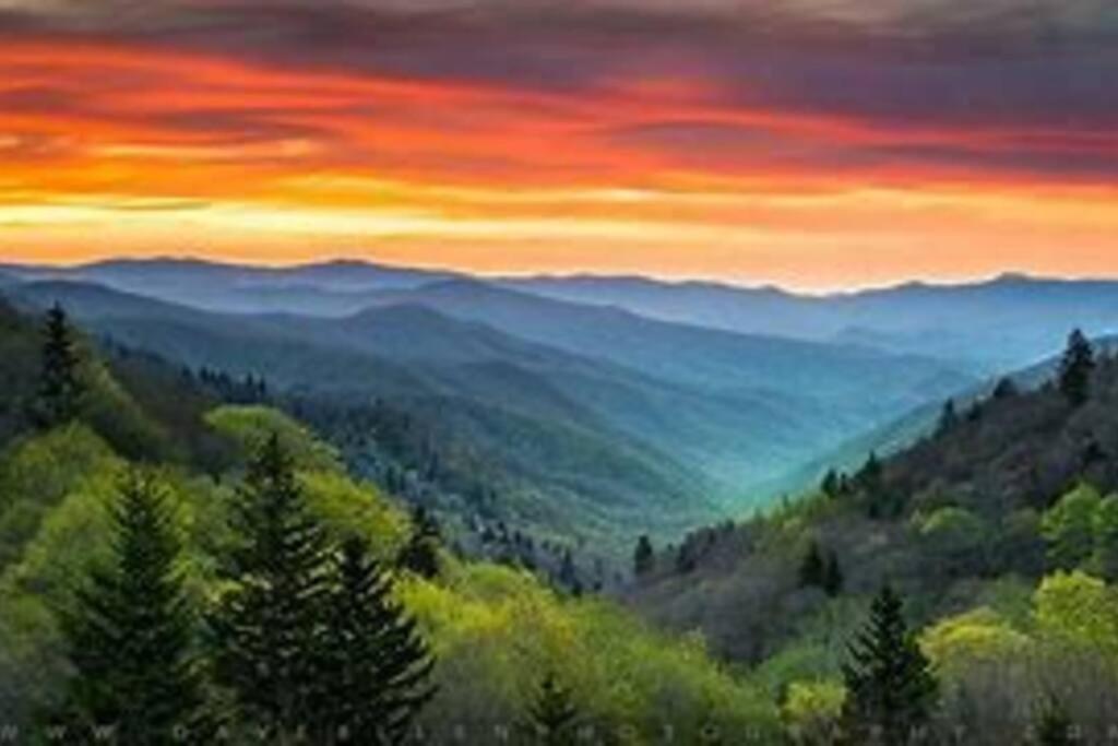1 Mi To Dollywood Mins To All Attractions & Gsmnp 塞维尔维尔 外观 照片